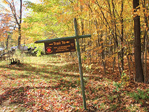 Sign for trail in woods