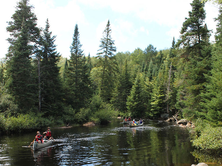 campers paddling down river through forest