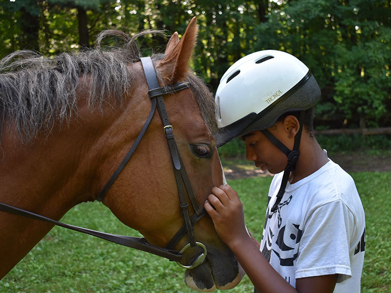 camper petting horse